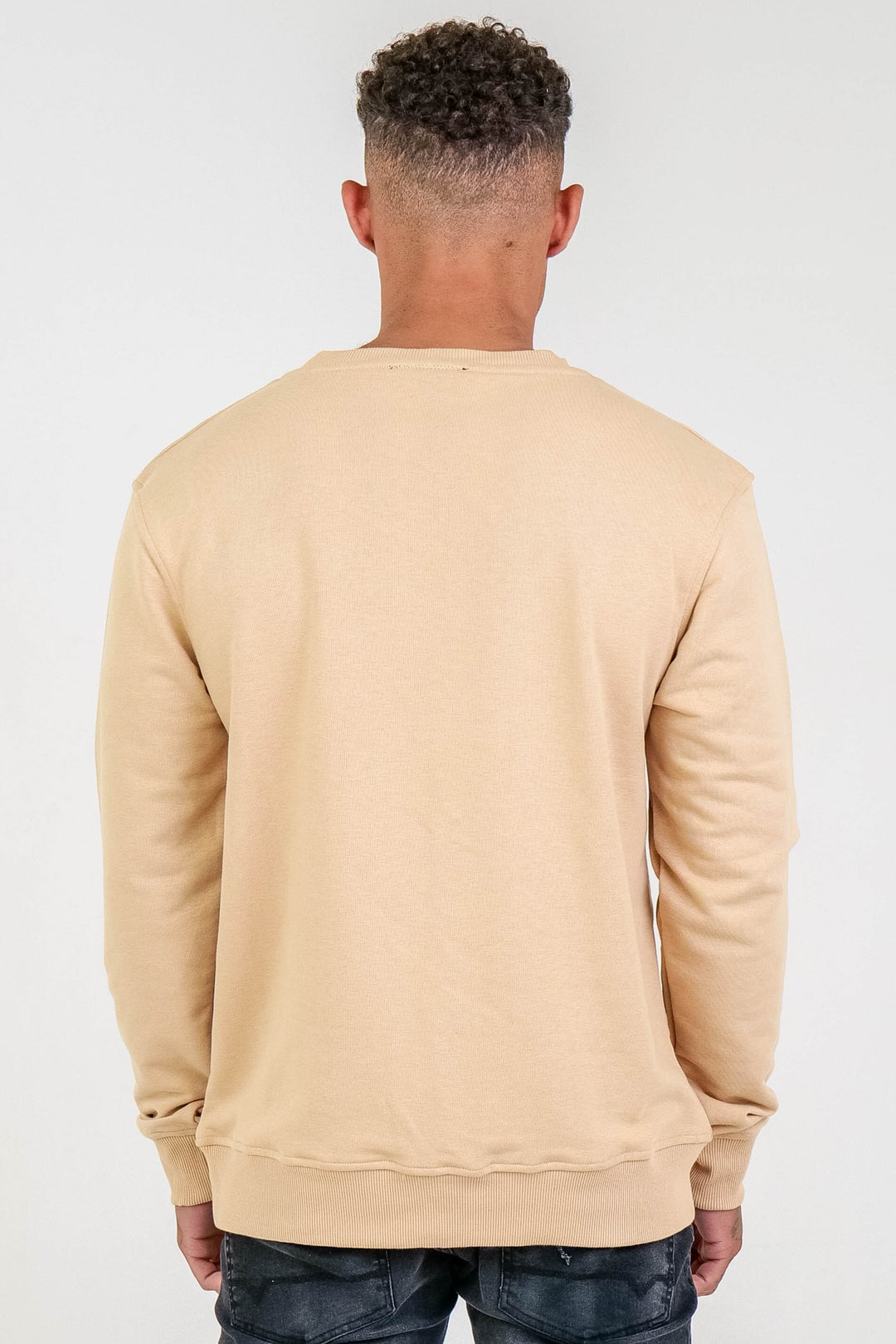 Clarendon Regular Fit Fleece Crew Sweatshirt - Beige